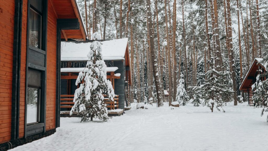 luxury log cabins: elegance in nature