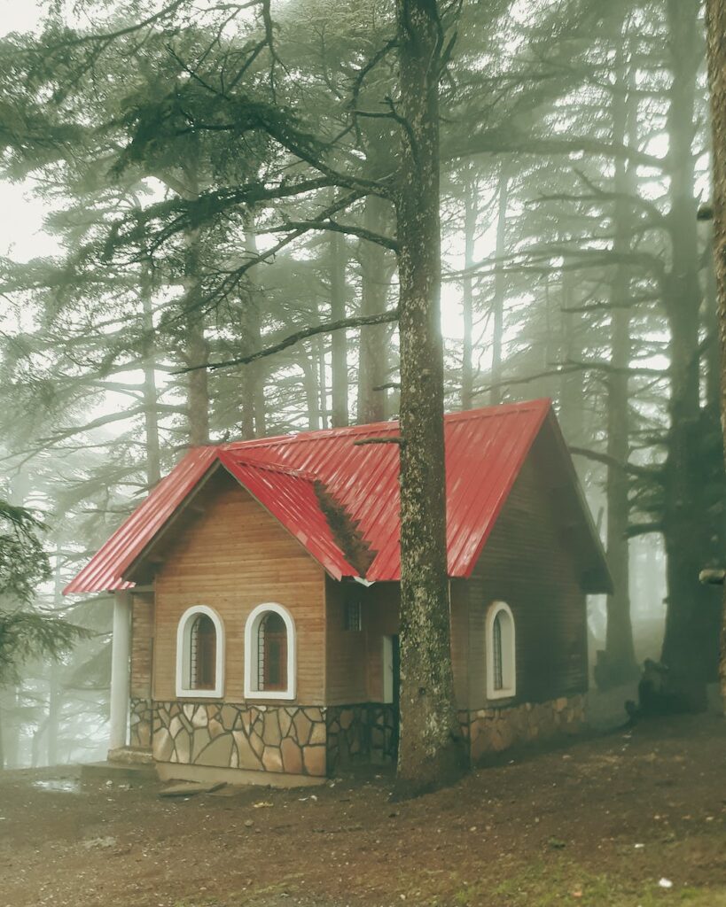 seasonal log cabins: summer and winter homes